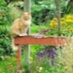 Meet your Posher, Laquita